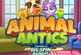 Animal Antics